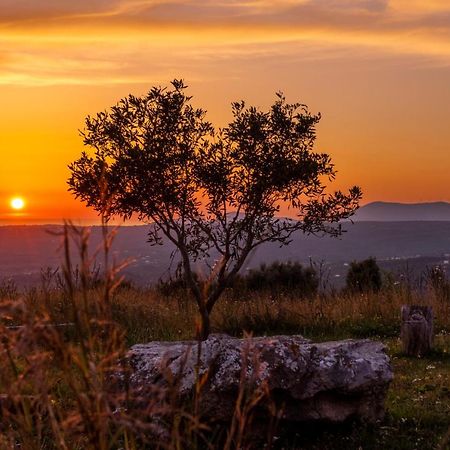 Chamaloni Cottages Finikounta Dış mekan fotoğraf