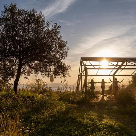 Chamaloni Cottages Finikounta Dış mekan fotoğraf