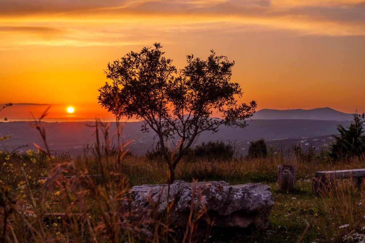 Chamaloni Cottages Finikounta Dış mekan fotoğraf