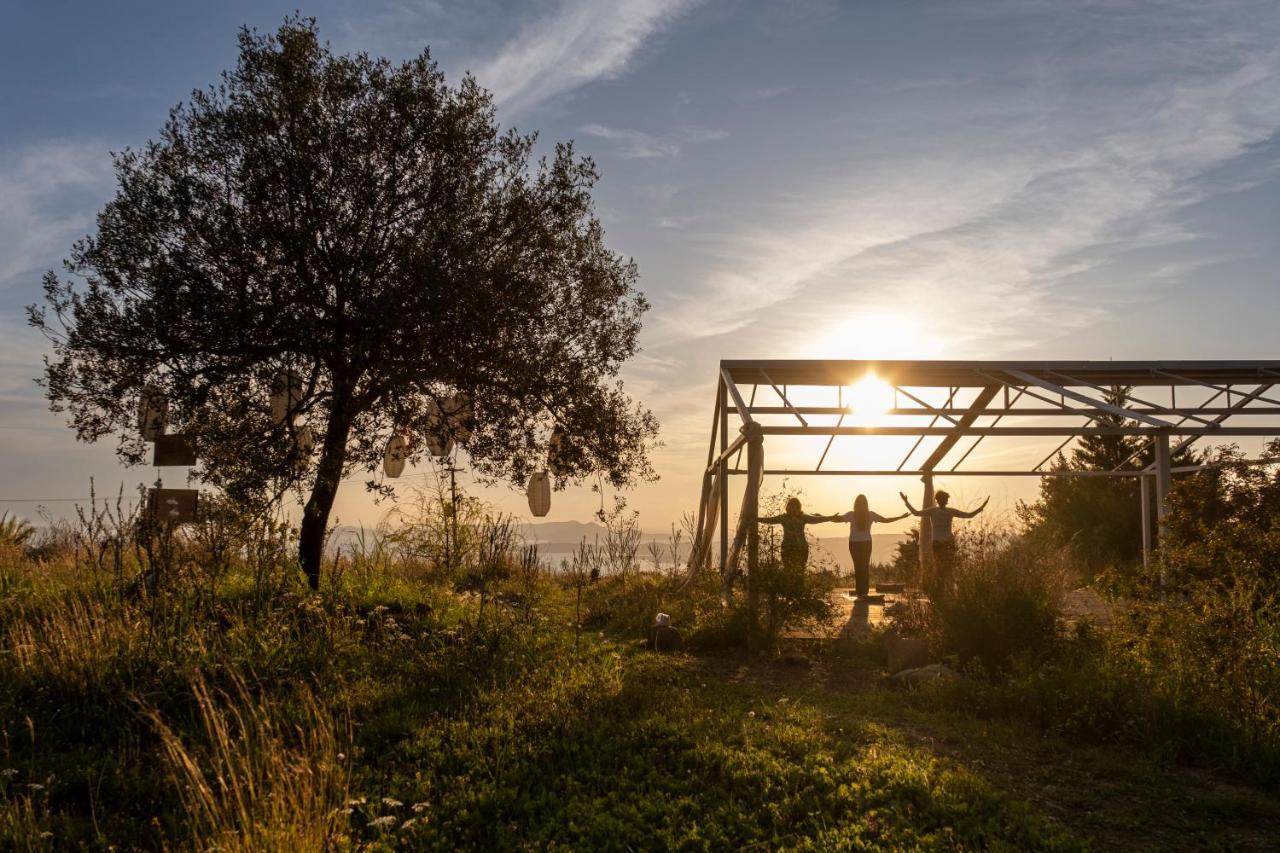 Chamaloni Cottages Finikounta Dış mekan fotoğraf