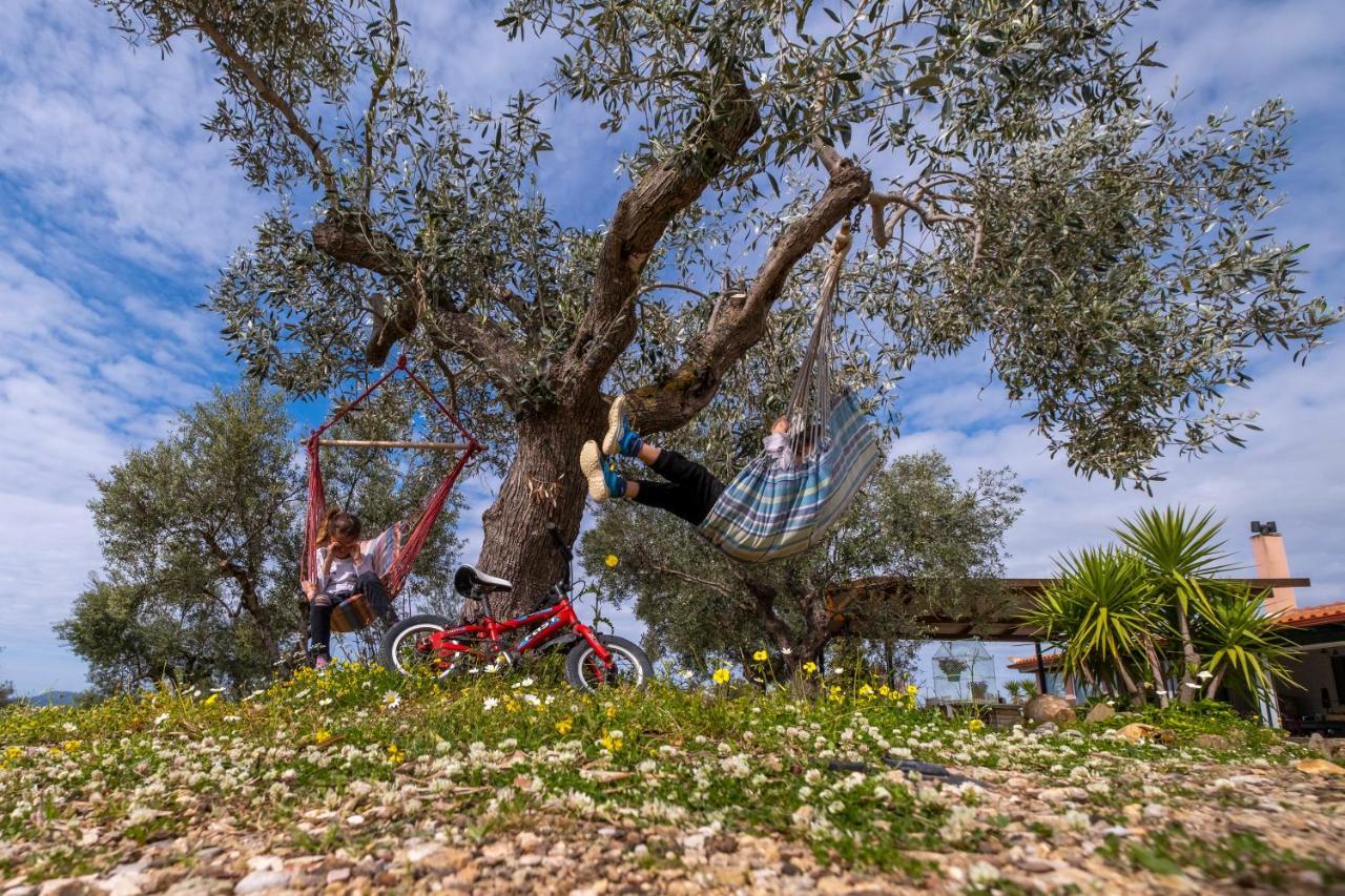 Chamaloni Cottages Finikounta Dış mekan fotoğraf