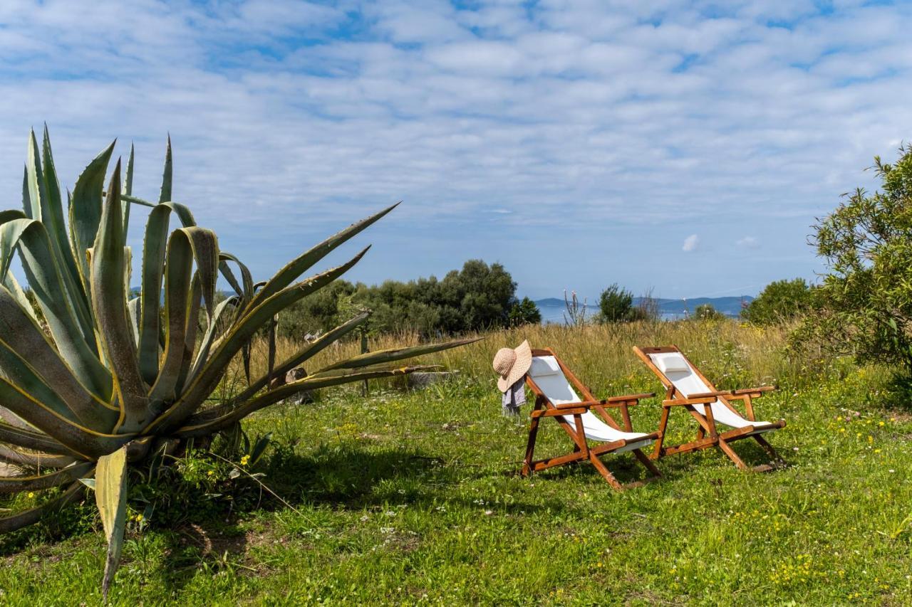 Chamaloni Cottages Finikounta Dış mekan fotoğraf